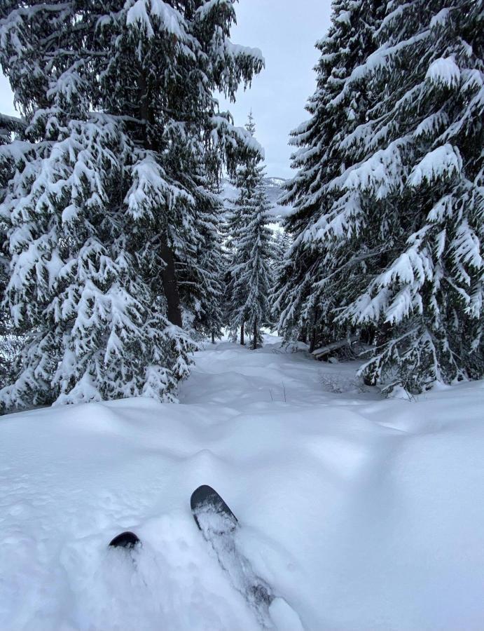 Torpo Gjestegard Sykkel Og Skicamp Hotel ภายนอก รูปภาพ