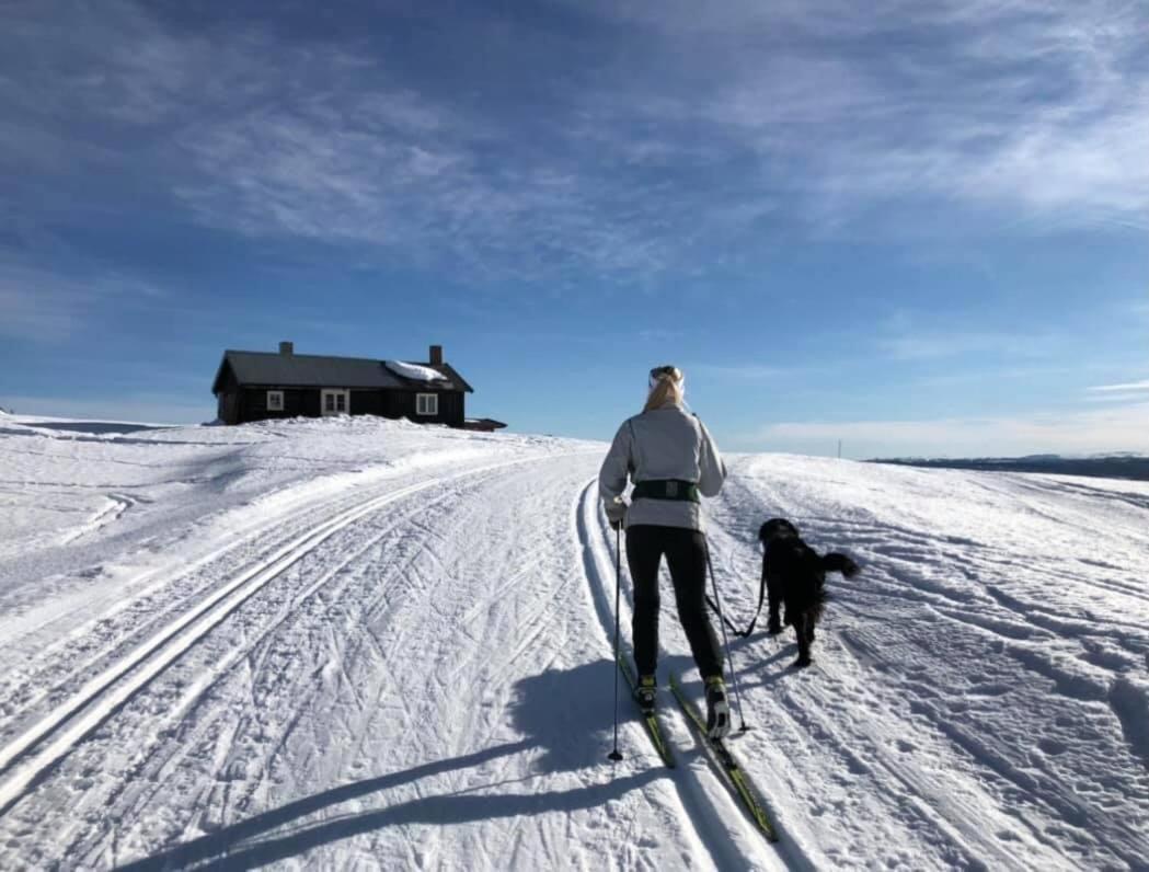 Torpo Gjestegard Sykkel Og Skicamp Hotel ภายนอก รูปภาพ